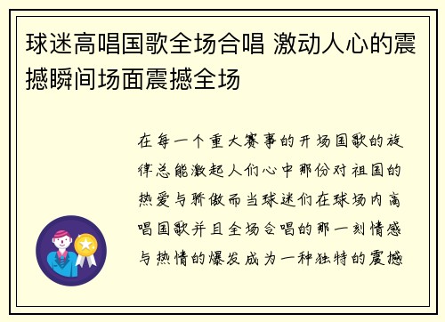 球迷高唱国歌全场合唱 激动人心的震撼瞬间场面震撼全场