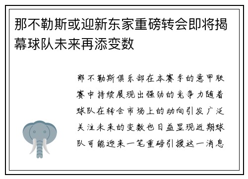 那不勒斯或迎新东家重磅转会即将揭幕球队未来再添变数